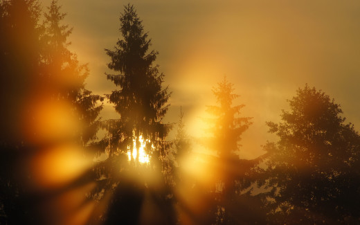 626805 (a): :2560x1600